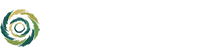 镇宇染整   |ZHENYU
